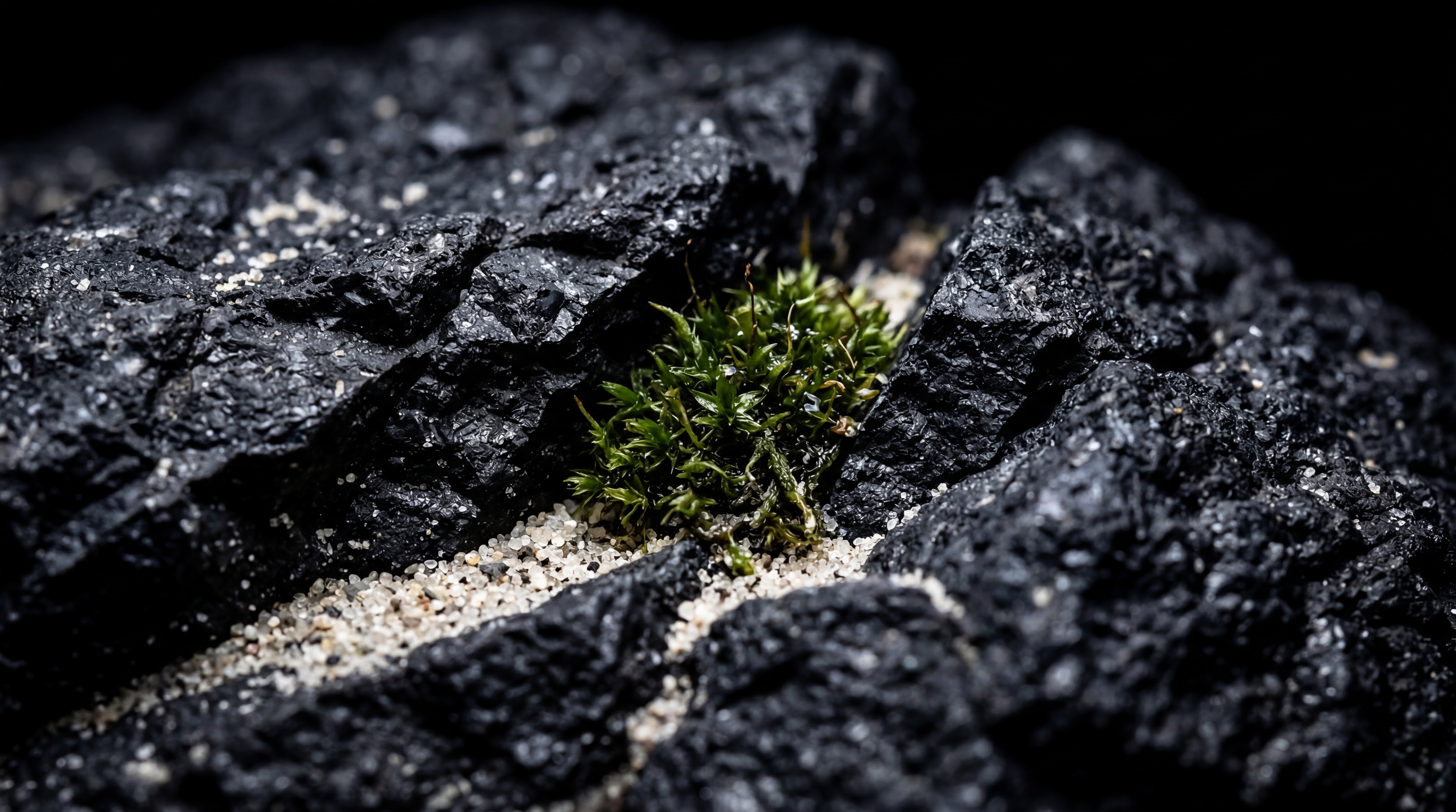 Pietra lavica siciliana con pianta verde — identità di GIODES